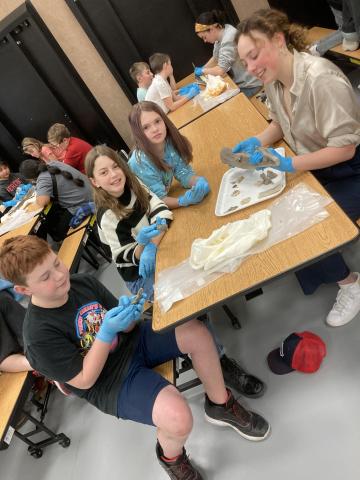 BYU Student dissecting a Dogfish shark as 5th grade students make observations