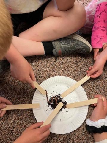 second grade students examining worms
