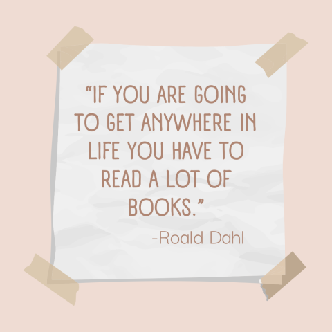 If you are going to get anywhere in life you have to read a lot of Books, Roald Dahl