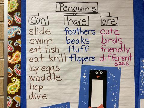 Kindergarten Bulletin Board Pictures of Penguins and Can, Have, and are