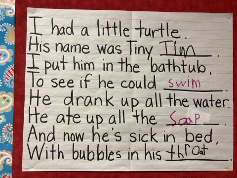 Turtle story, I had a little turtle. 