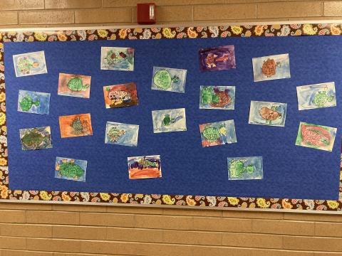 Kindergarten Bulletin Board Pictures of turtles