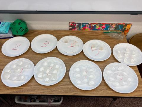 All of the different powders in cups on paper plates. 