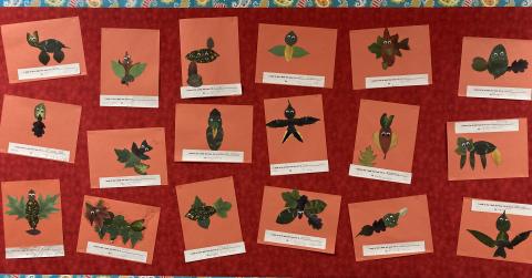 Bulletin board with students leaf creations