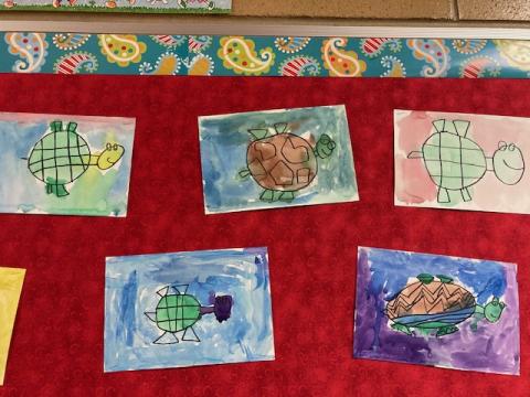 Bulletin Board: Five Turtles