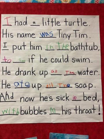 Tiny Tim Turtle Rhyme:  I had a little turtle.  His name was Tiny Tim.  I put him the the bathtub, to see if he could swim.  He drank up all the water, he ate up all the soap, and now he's sick in bed with bubbles in his throat!