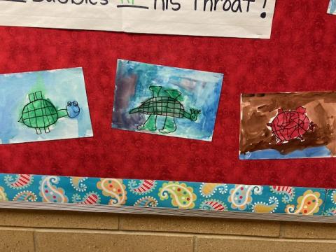 Bulletin Board: three turtles