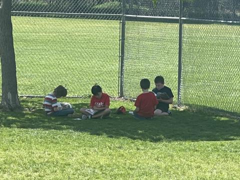 Four students buddy reading under a tree in the shade.