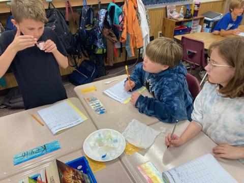 Students smelling their experiment and writing down what they have smelled