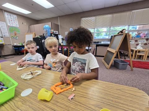 Kindergarten students using playdough to make fences to keep their animals inside their fence.