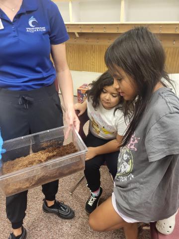 Living Aquarium teacher showing students a box with dirt and an animal inside. 