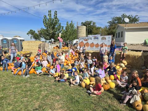 Group picture of all three Kindergarten classes surrounded by lots of pumpkins