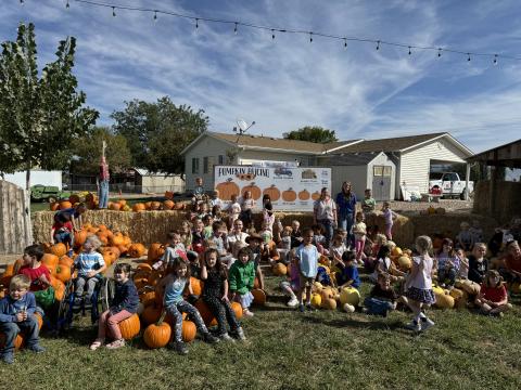 Group picture of all three Kindergarten classes surrounded by lots of pumpkins