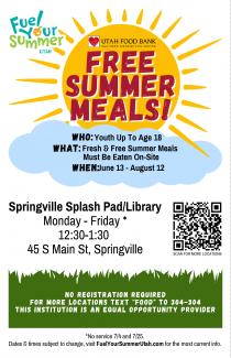 Free Summer Meals Flyer in English for the Springville area