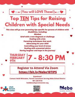 Top Ten Tips for raising children with Special needs flyer